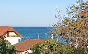 Niki Apartments Sea View Attic